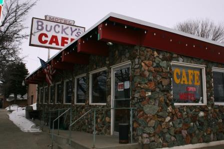 buckys2.jpg