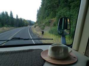 40504542_10216721370847449_8616917182871240704_n