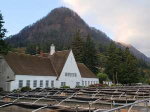 42503892_10216915263654648_5978101821808312320_n