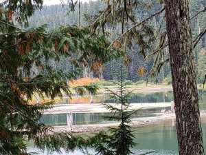 42611641_10216962605198157_4977485479629815808_n-1