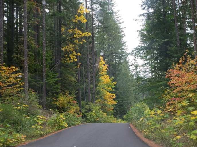 42803622_10216962720081029_1681596455069941760_n