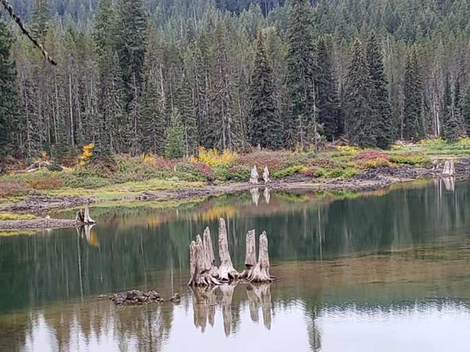 42831069_10216962603718120_2910720360364113920_n