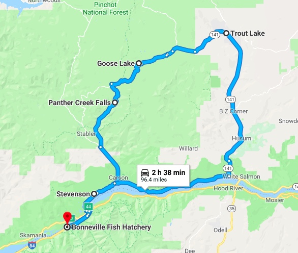 BFH P. Creek, Trout Lake